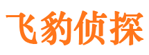 龙文捉小三公司